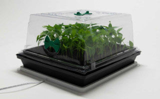 PROPOGATION DOME 350 x 295 x 50mm