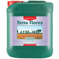 CANNA TERRA