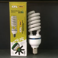 POWERPLANT CFL  "COMPACT FLURO LIGHTING"